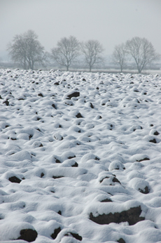 A Snow Scene from the centre